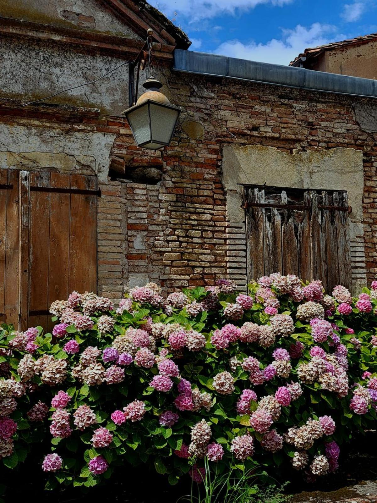 La Cour Verte Gaillac Luaran gambar